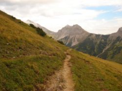 2013-09-08_6Falkenh-Steinfalk (003).JPG